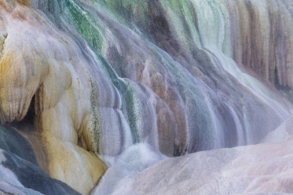 Picture of USA- WYOMING- YELLOWSTONE NATIONAL PARK. MAMMOTH HOT SPRINGS