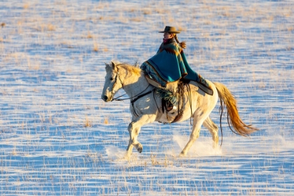 Picture of USA- SHELL- WYOMING. HIDEOUT RANCH COWGIRL RIDING HER HORSE IN THE SNOW. 