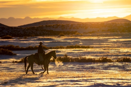 Picture of USA- SHELL- WYOMING. HIDEOUT RANCH SUNSET AND SILHOUETTED COWBOY. 