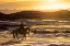Picture of USA- SHELL- WYOMING. HIDEOUT RANCH SUNSET AND SILHOUETTED COWBOY. 