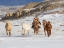 Picture of USA- SHELL- WYOMING. HIDEOUT RANCH COWBOY RIDING AND HERDING HORSES IN SNOW. 