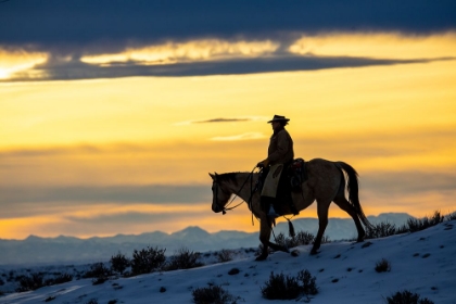 Picture of USA- SHELL- WYOMING. HIDEOUT RANCH COWGIRL SILHOUETTED ON HORSEBACK AT SUNSET. 