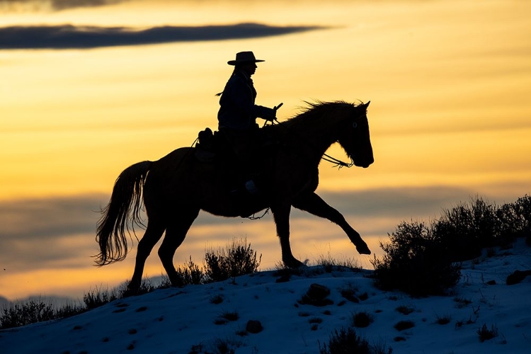 Picture of USA- SHELL- WYOMING. HIDEOUT RANCH COWGIRL SILHOUETTED ON HORSEBACK AT SUNSET. 