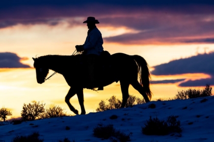 Picture of USA- SHELL- WYOMING. HIDEOUT RANCH COWBOY ON HORSEBACK SILHOUETTED AT SUNSET. 