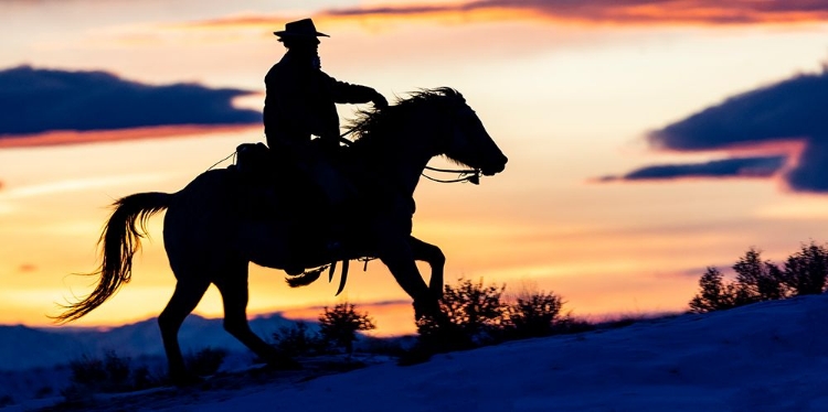 Picture of USA- SHELL- WYOMING. HIDEOUT RANCH COWGIRL SILHOUETTED ON HORSEBACK AT SUNSET. 