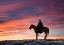 Picture of USA- SHELL- WYOMING. HIDEOUT RANCH COWGIRL SILHOUETTED ON HORSEBACK AT SUNSET. 