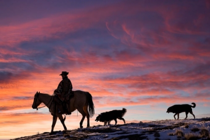 Picture of USA- SHELL- WYOMING. HIDEOUT RANCH COWGIRL AND HER TWO DOGS HORSEBACK RIDING AT SUNSET. 