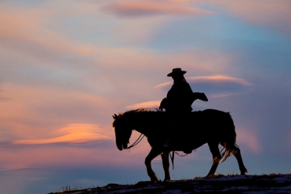 Picture of USA- SHELL- WYOMING. HIDEOUT RANCH COWGIRL SILHOUETTED ON HORSEBACK AT SUNSET. 