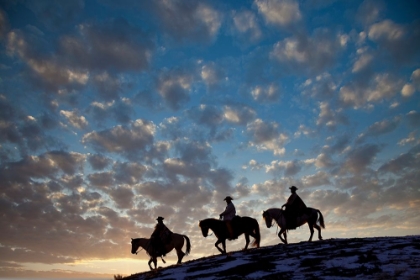 Picture of USA- SHELL- WYOMING. HIDEOUT RANCH COWBOYS AND COWGIRLS