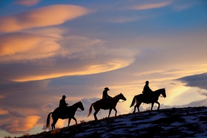 Picture of USA- SHELL- WYOMING. HIDEOUT RANCH COWBOYS AND COWGIRLS