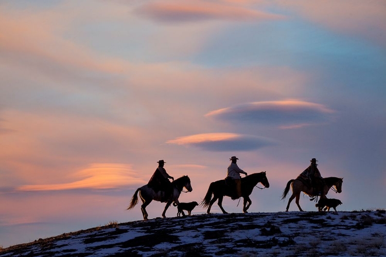 Picture of USA- SHELL- WYOMING. HIDEOUT RANCH COWBOYS AND COWGIRLS