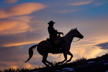 Picture of USA- SHELL- WYOMING. HIDEOUT RANCH COWBOY ON HORSEBACK SILHOUETTED AT SUNSET. 