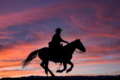 Picture of USA- SHELL- WYOMING. HIDEOUT RANCH COWGIRL SILHOUETTED ON HORSEBACK AT SUNSET. 