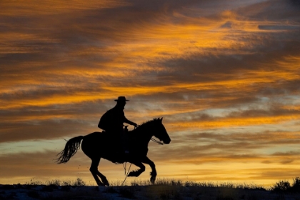 Picture of USA- SHELL- WYOMING. HIDEOUT RANCH COWGIRL SILHOUETTED ON HORSEBACK AT SUNSET. 