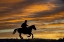 Picture of USA- SHELL- WYOMING. HIDEOUT RANCH COWGIRL SILHOUETTED ON HORSEBACK AT SUNSET. 