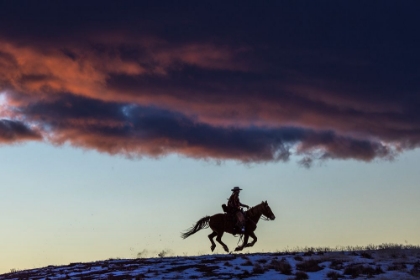 Picture of USA- WYOMING. HIDEOUT HORSE RANCH- WRANGLER AND HORSE AT SUNSET. 