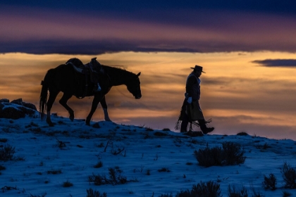 Picture of USA- WYOMING. HIDEOUT HORSE RANCH- WRANGLER AND HORSE AT SUNSET. 