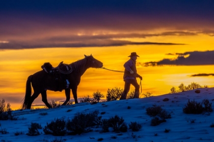 Picture of USA- WYOMING. HIDEOUT HORSE RANCH- WRANGLER AND HORSE AT SUNSET. 