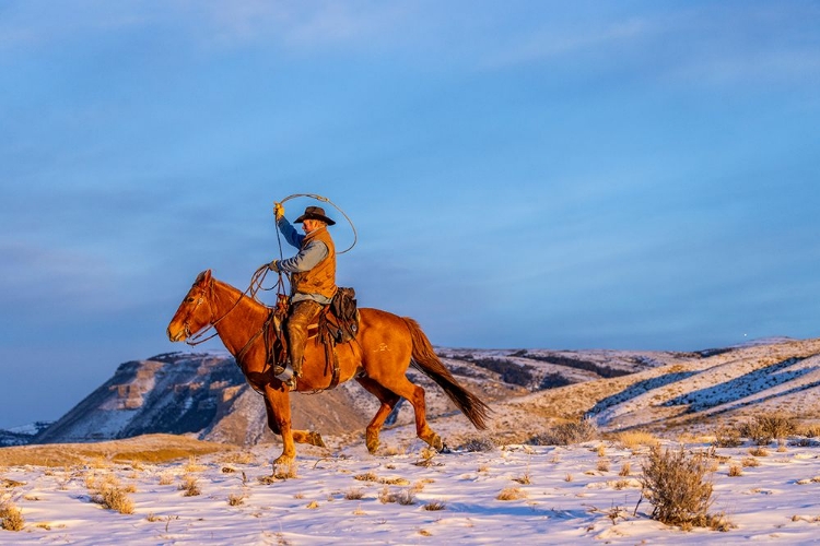 Picture of USA- WYOMING. HIDEOUT HORSE RANCH- WRANGLER AND HORSE IN SNOW. 