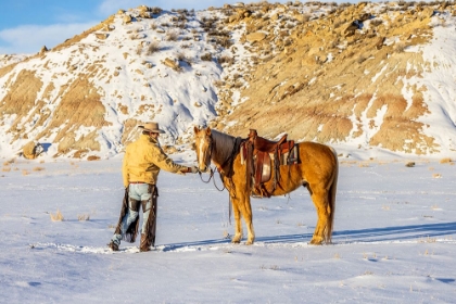 Picture of USA- WYOMING. HIDEOUT HORSE RANCH- WRANGLER AND HORSE IN SNOW. 