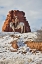 Picture of USA- WYOMING. HIDEOUT HORSE RANCH- WRANGLER ON HORSEBACK IN SNOW. 