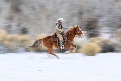 Picture of USA- WYOMING. HIDEOUT HORSE RANCH- WRANGLER ON HORSEBACK IN SNOW. 