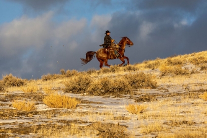 Picture of USA- WYOMING. HIDEOUT HORSE RANCH- WRANGLER ON HORSEBACK IN SNOW. 