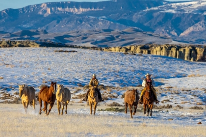 Picture of USA- WYOMING. HIDEOUT HORSE RANCH- WRANGLERS AND HORSES. 