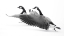 Picture of WYOMING. TWO CANADIAN GEESE TAKING FLIGHT.