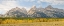 Picture of WYOMING- GRAND TETON NATIONAL PARK. TETON RANGE WITH GRAND TETON AND GOLDEN ASPEN TREES