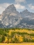 Picture of WYOMING- GRAND TETON NATIONAL PARK. TETON RANGE WITH GRAND TETON AND GOLDEN ASPEN TREES