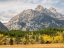 Picture of WYOMING- GRAND TETON NATIONAL PARK. TETON RANGE AND GOLDEN ASPEN TREES