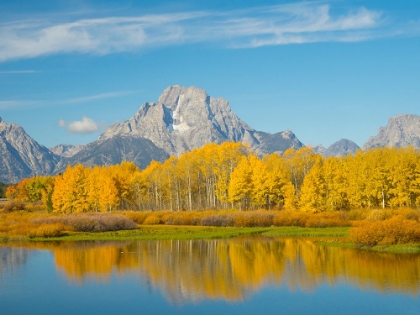 Picture of WYOMING- GRAND TETON NATIONAL PARK. MOUNT MORAN AND GOLDEN ASPEN TREES