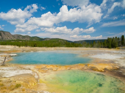 Picture of WYOMING- YELLOWSTONE NATIONAL PARK. BLACK OPAL SPRING- UPPER GEYSER BASIN