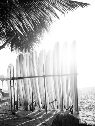 Picture of BRAUN STUDIO - PLANCHES DE SURF