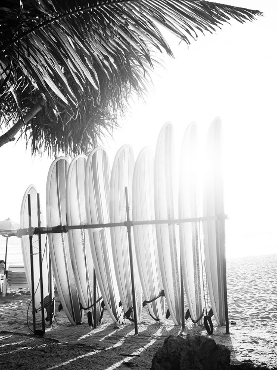 Picture of BRAUN STUDIO - PLANCHES DE SURF