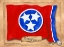 Picture of TENNESSEE-SOLO WITH BACKGROUND