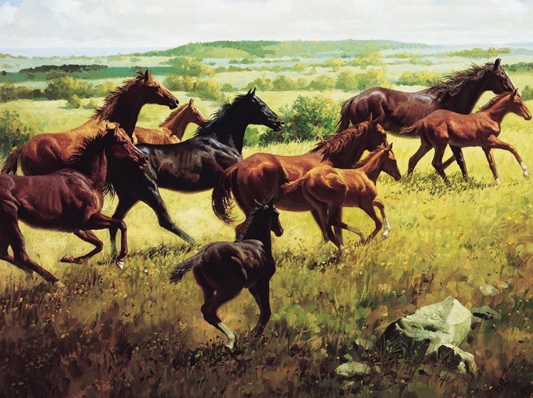 Picture of WILD HORSES I