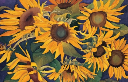 Picture of SUNFLOWER MADNESS