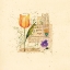 Picture of PARISIAN TULIP I