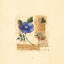 Picture of PARISIAN PANSY I