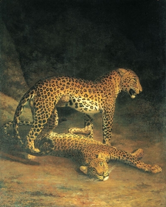 Picture of LEOPARDS