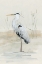 Picture of HERON II