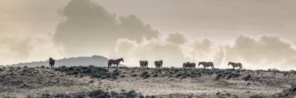 Picture of WILD HORSE RIDGE