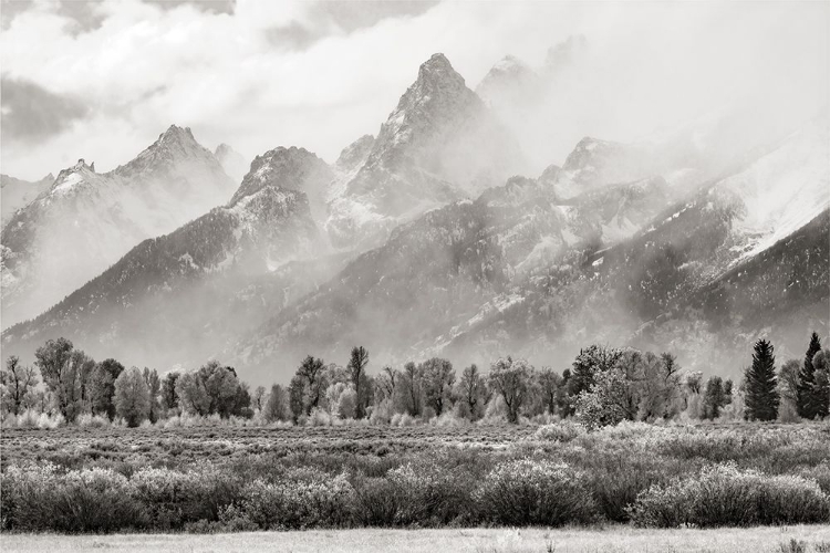 Picture of TETON RANGE