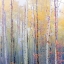 Picture of FOGGY ASPEN