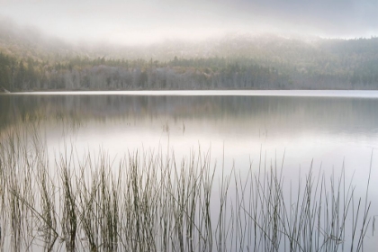 Picture of LAKE FOG