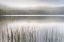 Picture of LAKE FOG