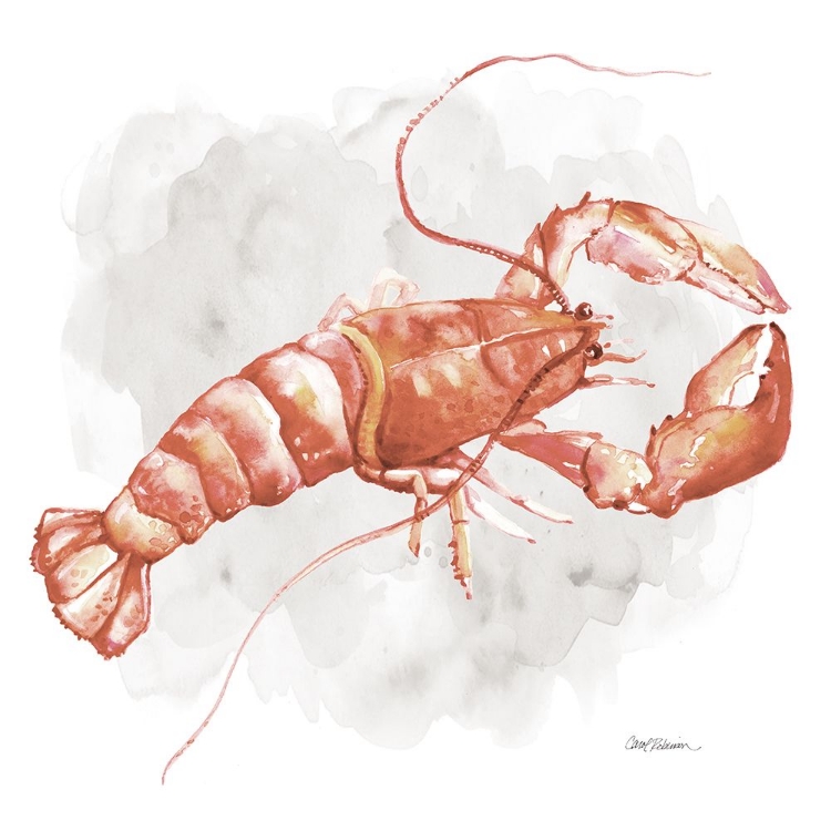 Picture of LOBSTER