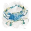 Picture of CRAB